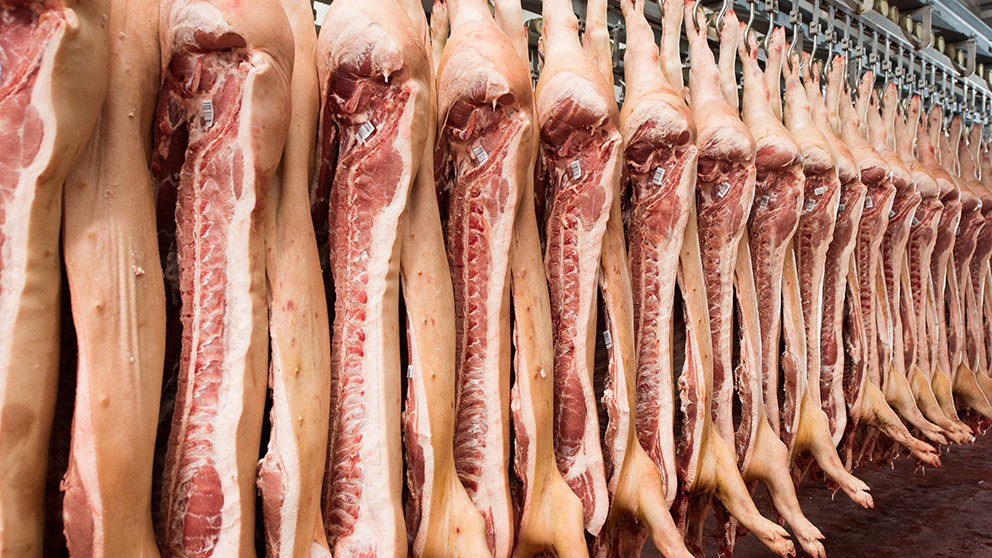 pork.jpg