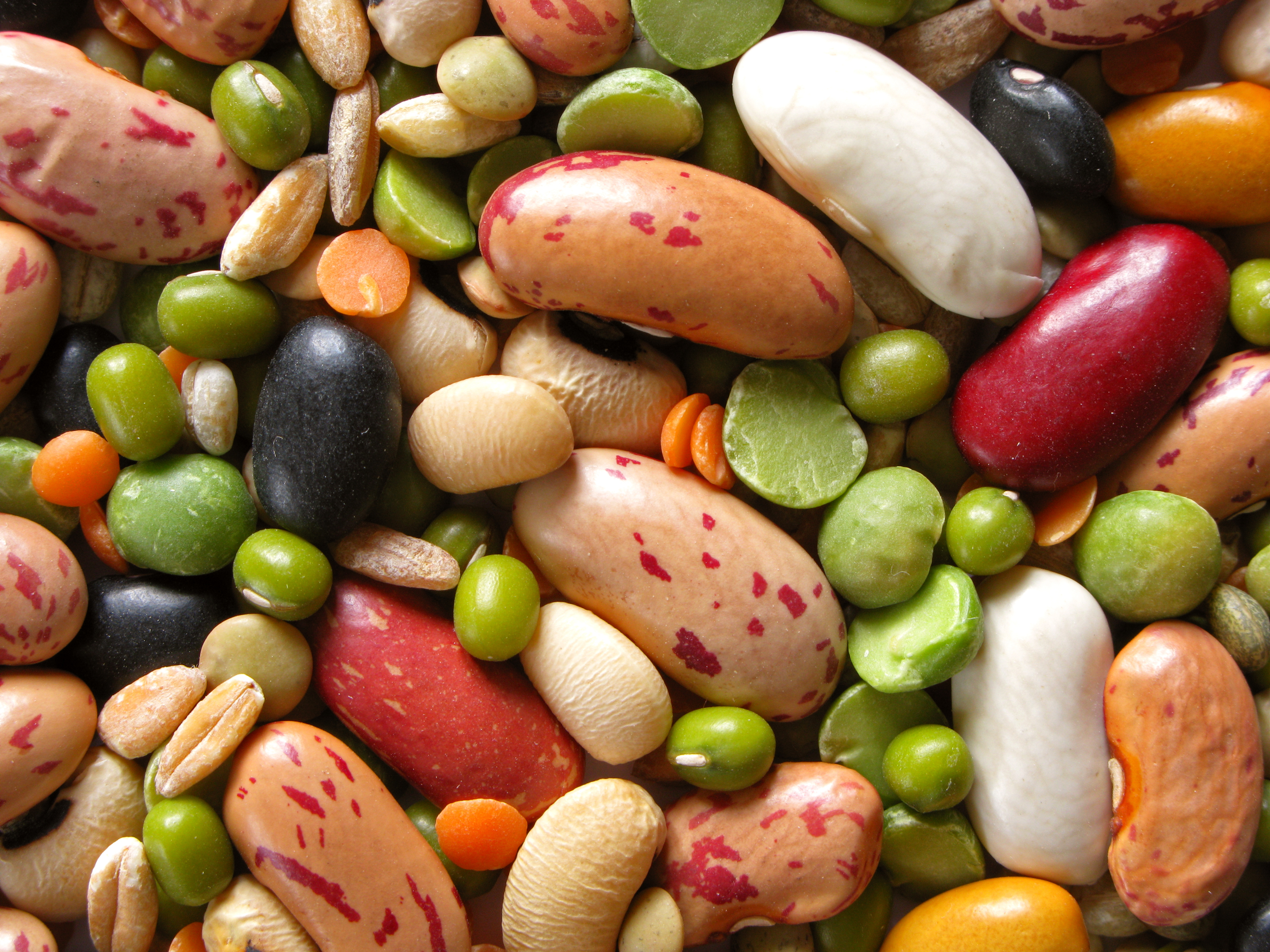 soybean.jpg
